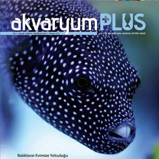 Play Akvaryum Plus 6 APK