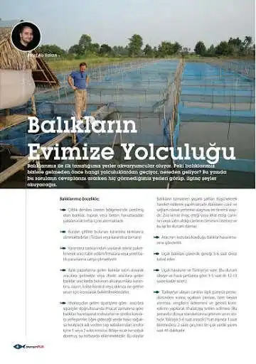 Play Akvaryum Plus 6 as an online game Akvaryum Plus 6 with UptoPlay