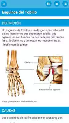 Play Alabama Blue Health Handbook