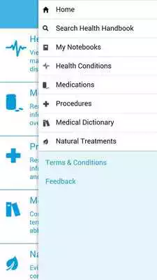 Play Alabama Blue Health Handbook