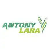 Free play online ALara APK