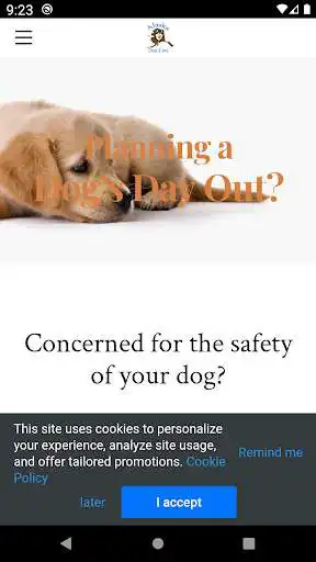 Play Alaska Dog Care as an online game Alaska Dog Care with UptoPlay