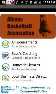 Play Albany Basketball Association