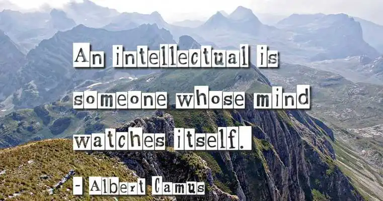 Play Albert Camus Quotes as an online game Albert Camus Quotes with UptoPlay