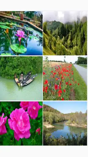 Play Album Image  and enjoy Album Image with UptoPlay