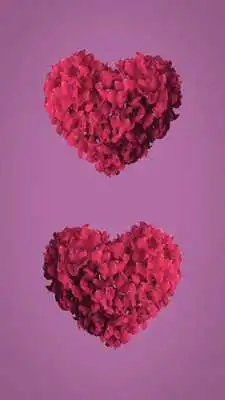 Play Album Live Wallpaper - Live Wallpaper-HD Wallpaper Play Album Live Wallpaper - Live Wallpaper-HD Wallpaper