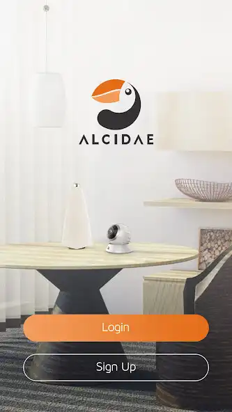 Play Alcidae  and enjoy Alcidae with UptoPlay