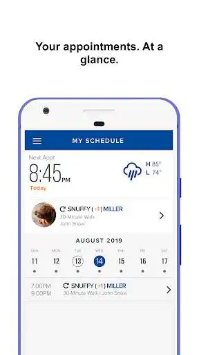Play A Leash Above as an online game A Leash Above with UptoPlay