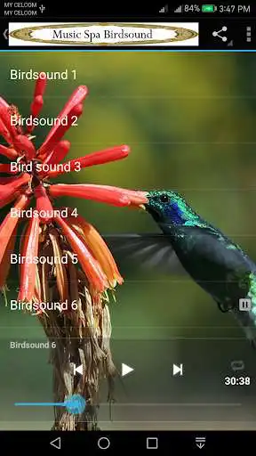 Play Al-Fath and enjoy Al-Fath with UptoPlay Play Al-Fath and enjoy Al-Fath with UptoPlay