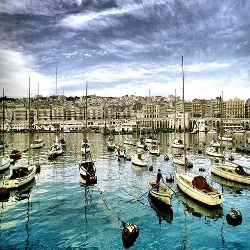 Play Algeria Wallpaper APK