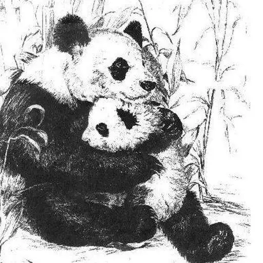 Free play online Algorithm Helper APK