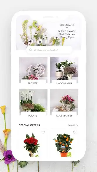 Play Alia Flowers  and enjoy Alia Flowers with UptoPlay