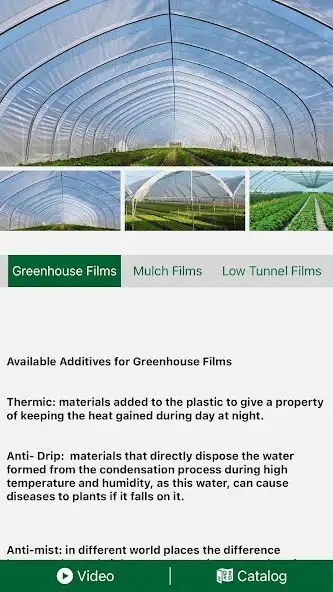 Play AL JABALY INDUSTRIAL EST. as an online game online AL JABALY INDUSTRIAL EST. with UptoPlay Play AL JABALY INDUSTRIAL EST. as an online game AL JABALY INDUSTRIAL EST. with UptoPlay