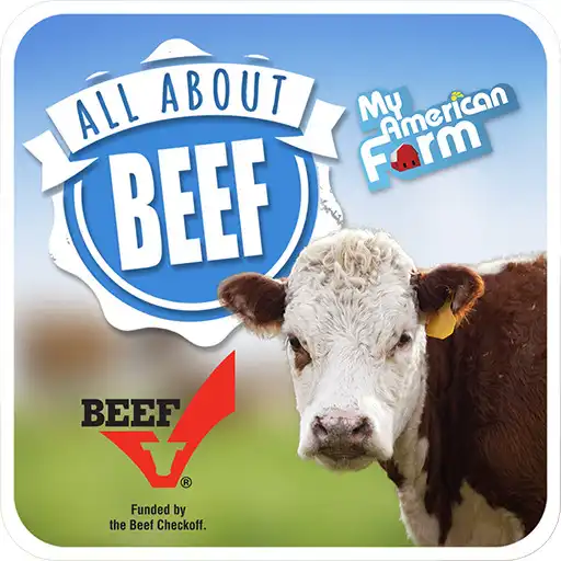 Free play online All About Beef APK