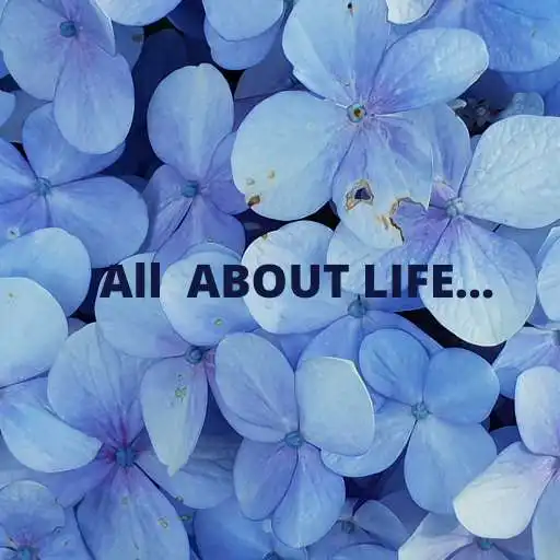 Play All About Life.... APK