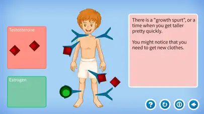 Play All About You: The Puberty App as an online game All About You: The Puberty App with UptoPlay