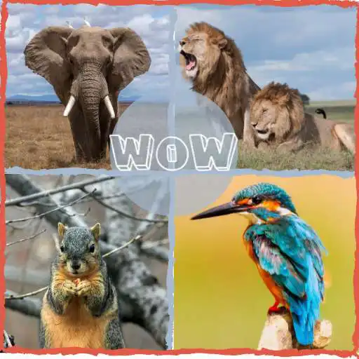 Play All animal sounds APK Play All animal sounds APK