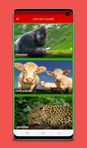 Play All animal sounds  and enjoy All animal sounds with UptoPlay