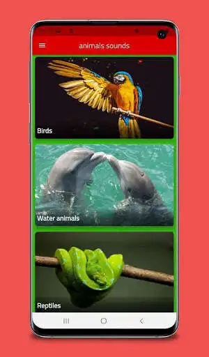 Play All animal sounds as an online game All animal sounds with UptoPlay