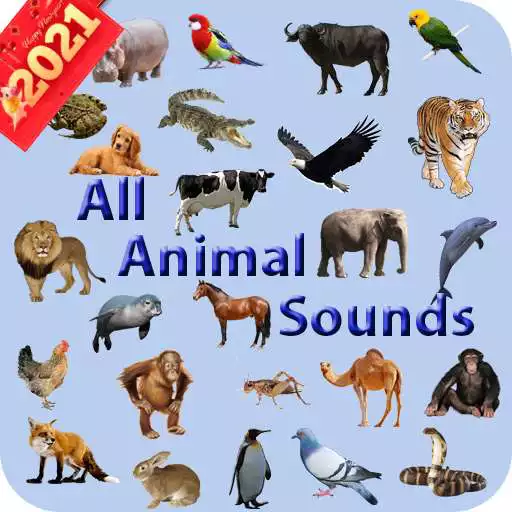 Play All Animals Sounds 2021 APK