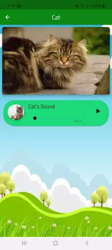 Play All Animals Sounds 2021  and enjoy All Animals Sounds 2021 with UptoPlay
