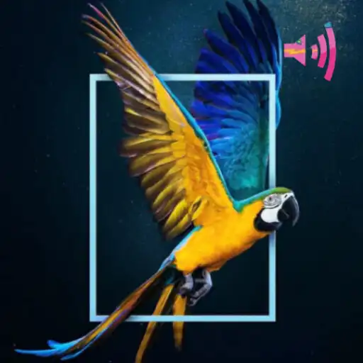 Play All animals sounds offline APK