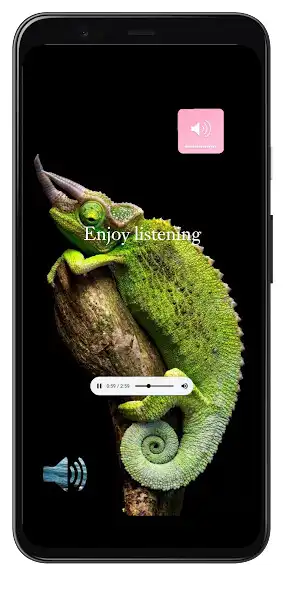 Play All animals sounds offline as an online game online All animals sounds offline with UptoPlay Play All animals sounds offline as an online game All animals sounds offline with UptoPlay