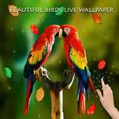 Free play online All Birds Wallpapers HD APK