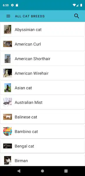 Play All Cat Breeds  and enjoy All Cat Breeds with UptoPlay