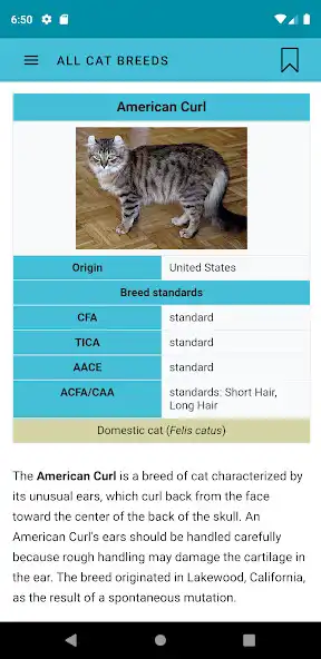 Play All Cat Breeds as an online game All Cat Breeds with UptoPlay