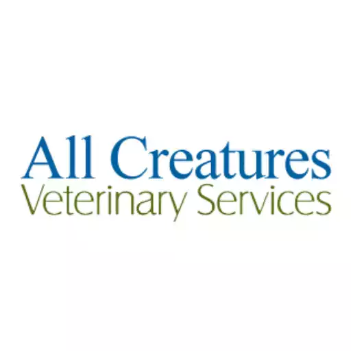 Play All Creatures Arlington APK