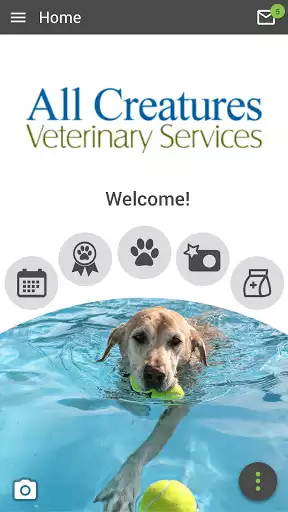 Play All Creatures Arlington  and enjoy All Creatures Arlington with UptoPlay