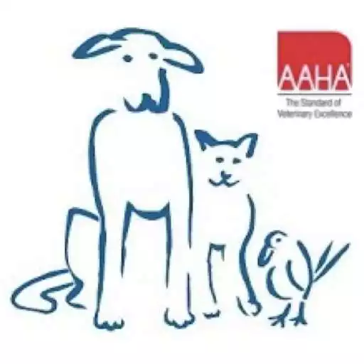 Play All Creatures Salem APK