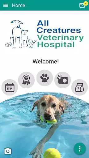 Play All Creatures Salem and enjoy All Creatures Salem with UptoPlay Play All Creatures Salem and enjoy All Creatures Salem with UptoPlay