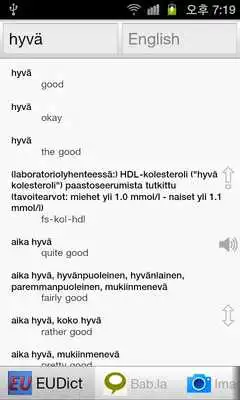 Play All Finnish English Dictionary