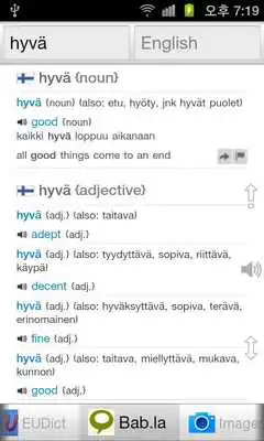 Play All Finnish English Dictionary