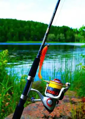 Play All Fishing: Fisherman Play All Fishing: Fisherman