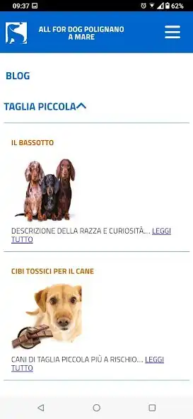 Play All for dog and enjoy All for dog with UptoPlay Play All for dog and enjoy All for dog with UptoPlay