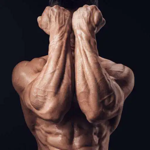 Run free android online All Forearms Exercises APK Run free android online All Forearms Exercises APK