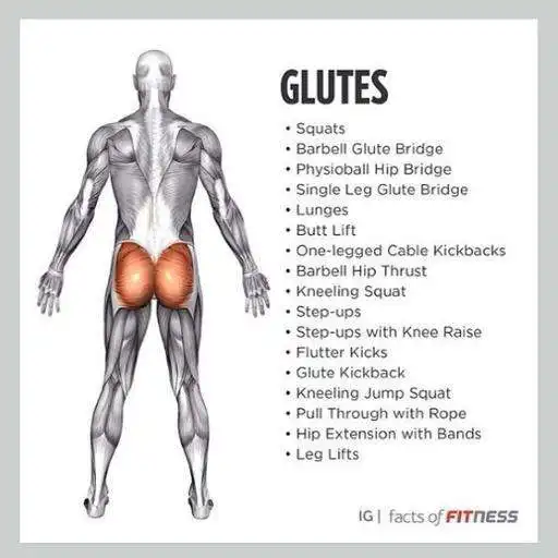 Free play online All Glutes Exercises APK Free play online All Glutes Exercises APK