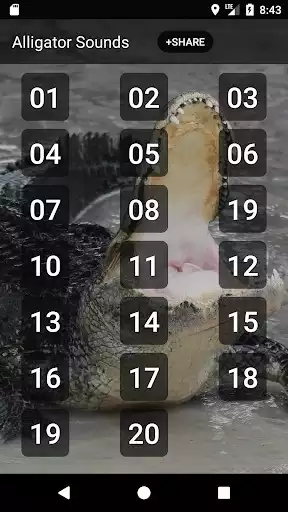 Play Alligator Sounds  and enjoy Alligator Sounds with UptoPlay