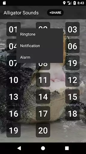Play Alligator Sounds as an online game Alligator Sounds with UptoPlay
