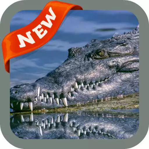 Play alligator Wallpaper APK