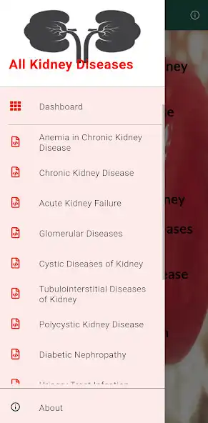 Play All Kidney Diseases  and enjoy All Kidney Diseases with UptoPlay