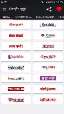 Play All Punjabi News Newspapers
