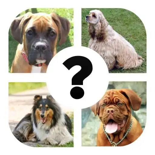 Play ALL QUIZ: Razas de perro APK Play ALL QUIZ: Razas de perro APK