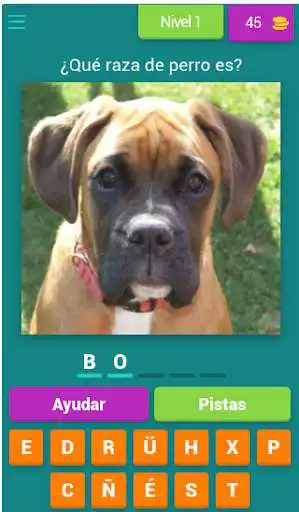Play ALL QUIZ: Razas de perro  and enjoy ALL QUIZ: Razas de perro with UptoPlay