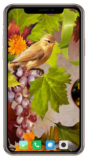 Play All Seasons Wallpaper  and enjoy All Seasons Wallpaper with UptoPlay