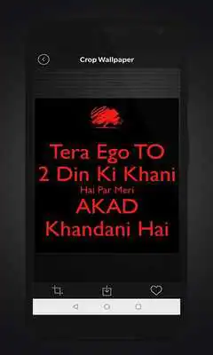 Play All Type DP Status