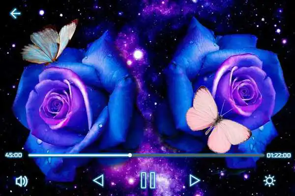 Play All Video Player Pro